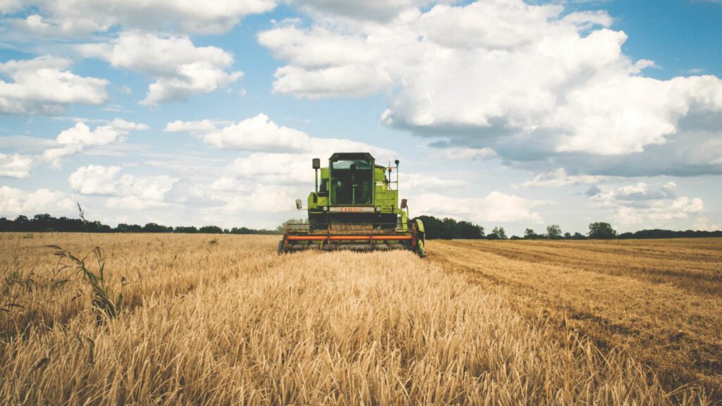 Copertina Case History Soc. agr. Pacchioni